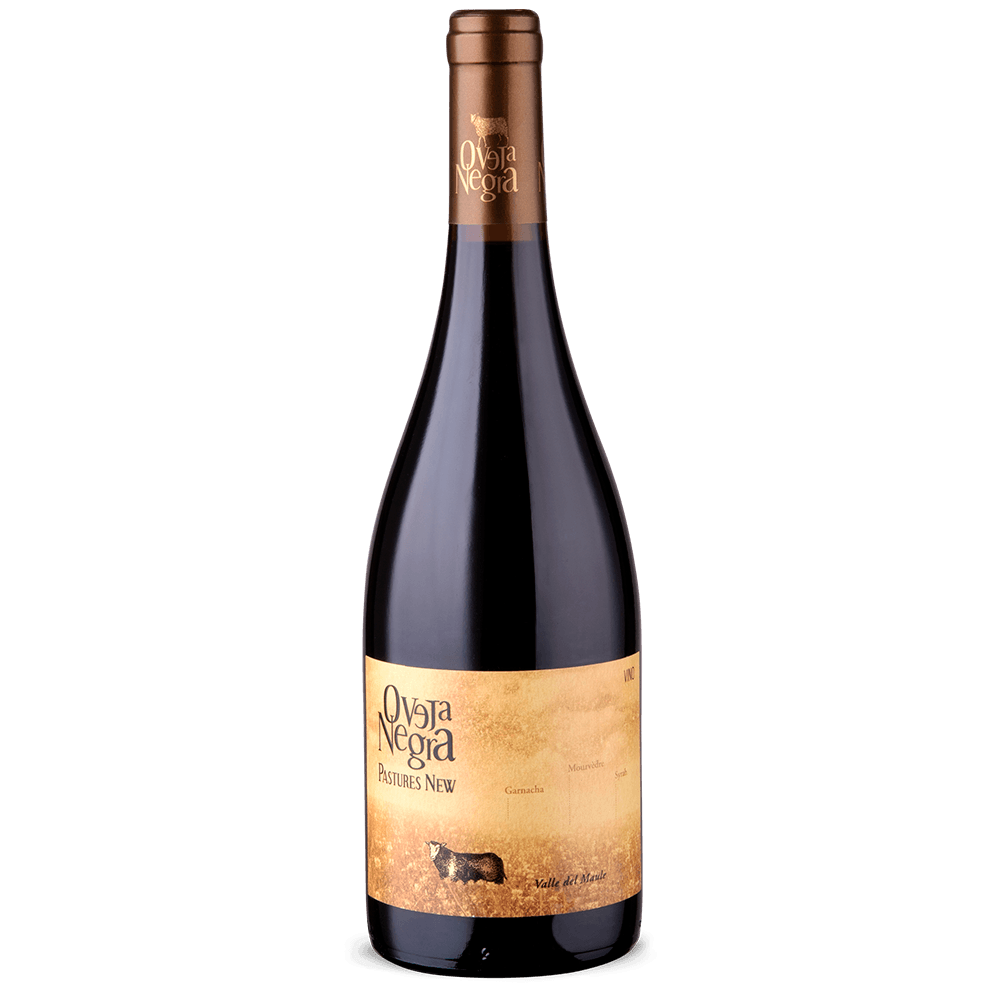 Oveja Negra Pastures New