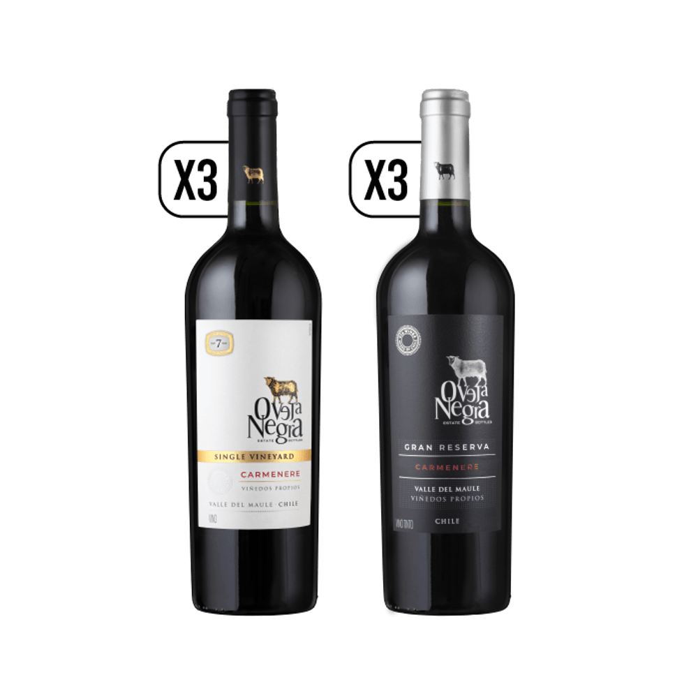 Pack Single Vineyard - Gran Reserva